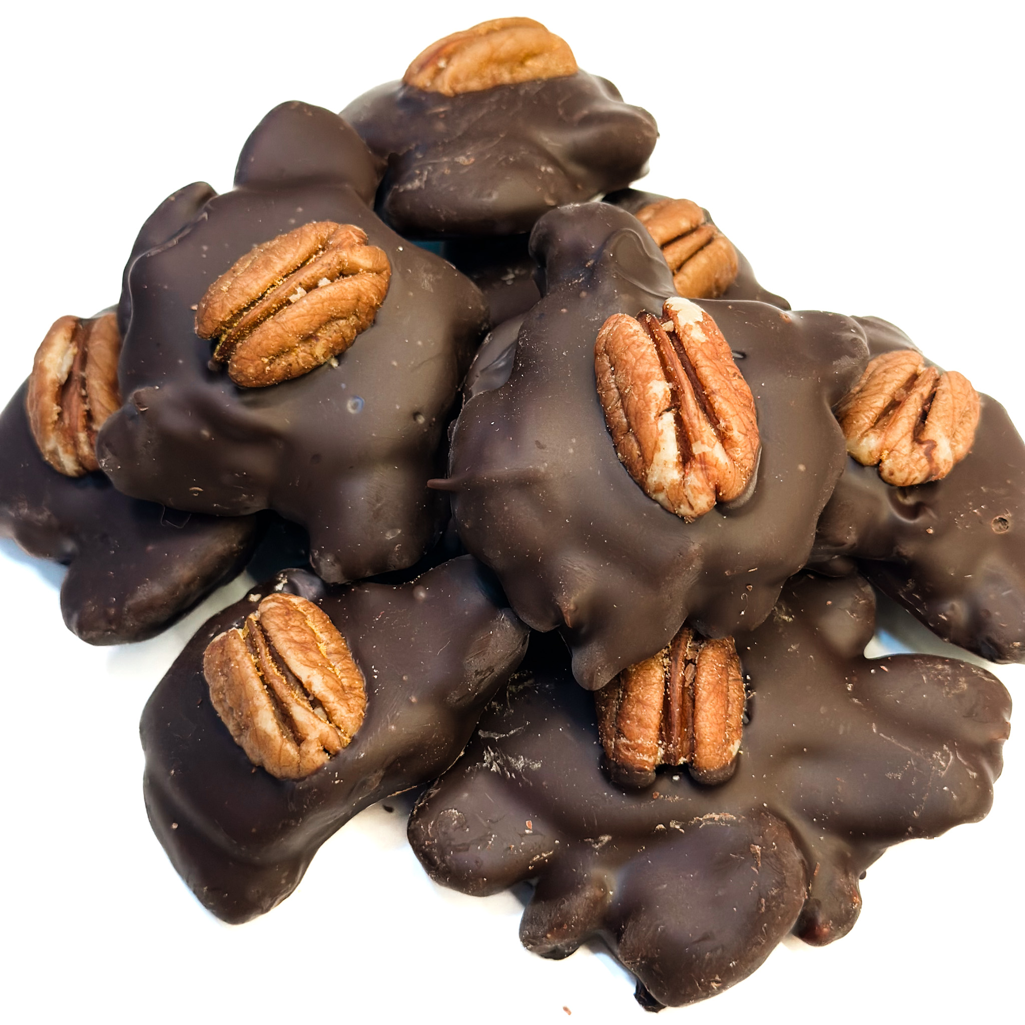 Dark Chocolate Pecan Caramel Terrapins